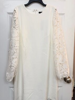 White House Black Market Cream Lace-Sleeve Shift Dress